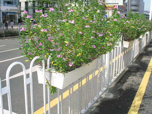 市政绿化带花盆