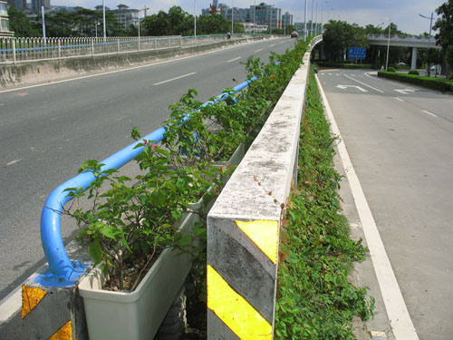 市政绿化带花盆