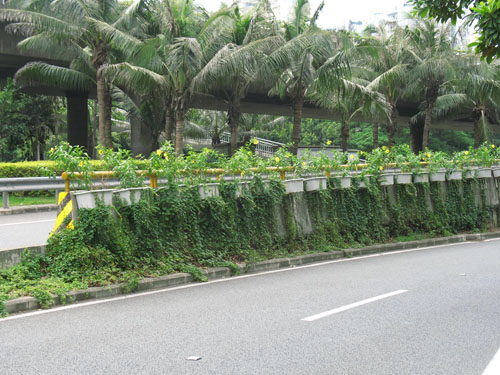 市政绿化带花盆